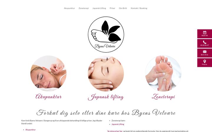 Screenshot of byensvelvaere.dk