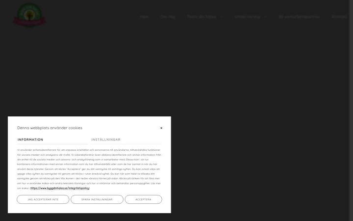 Screenshot of byggdinhalsa.se