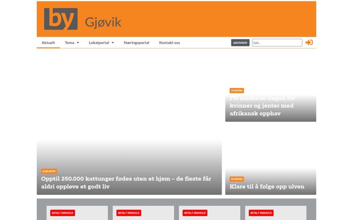 Screenshot of bygjovik.no