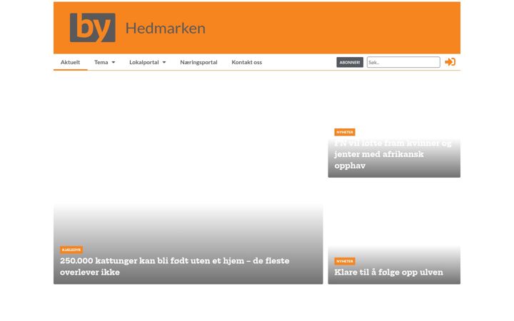 Screenshot of byhedmarken.no
