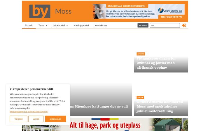 Screenshot of bymoss.no