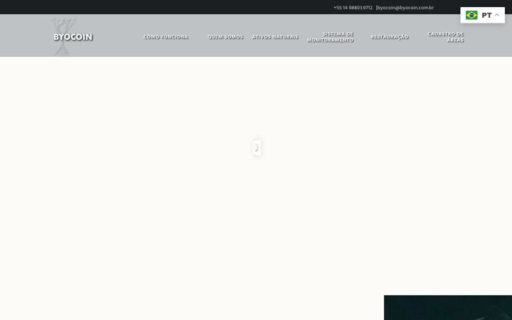 Screenshot of byocoin.com.br