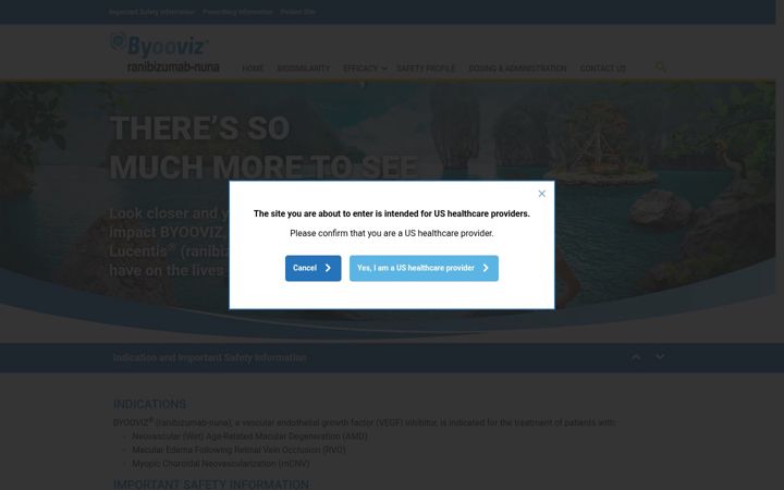 Screenshot of byoovizhcp.com