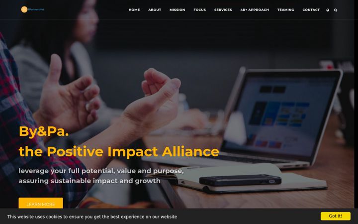 Screenshot of bypartners.net
