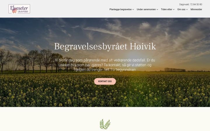 Screenshot of byraethoivik.no