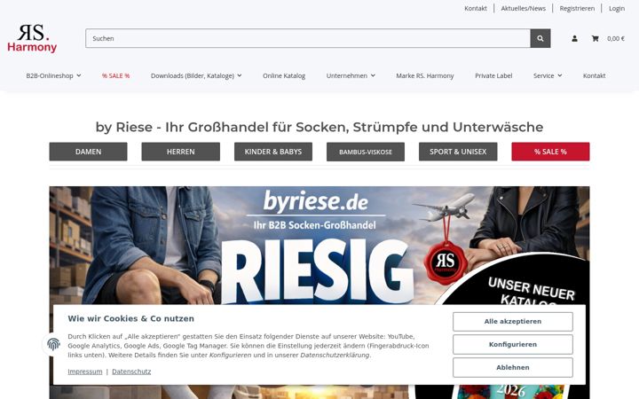 Screenshot of byriese.de
