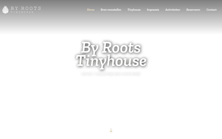 Screenshot of byroots.nl