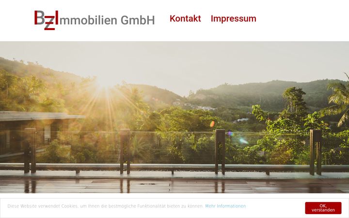 Screenshot ta' bz-immobilien.net