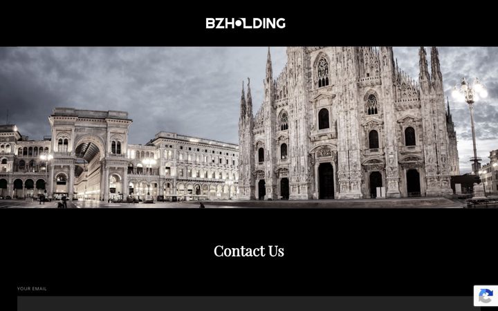 Screenshot of bzholding.it