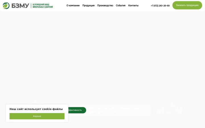 Snímek obrazovky bzmu.ru