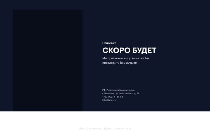 bzsn.ru