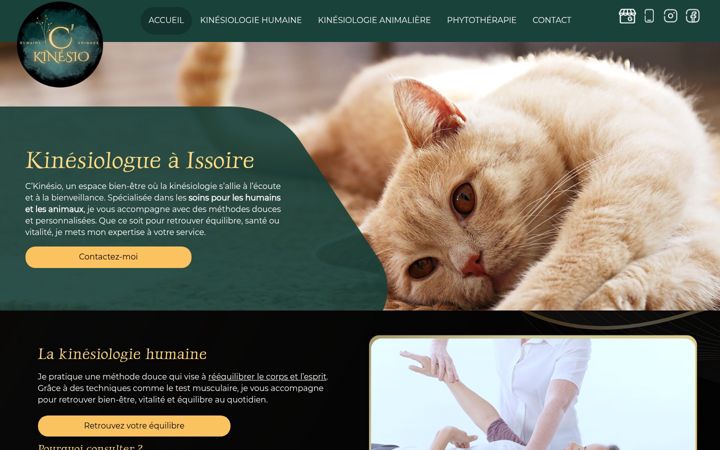 Screenshot of c-kinesio.fr