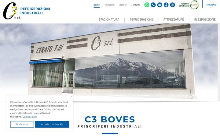 Screenshot of c3-boves.it