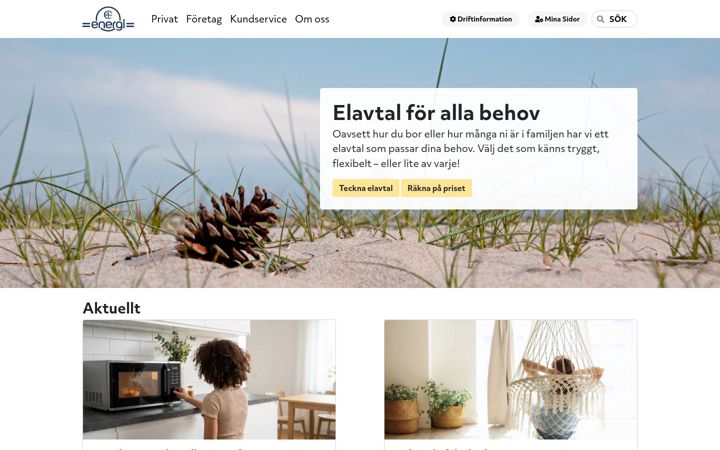 Screenshot of c4energi.se