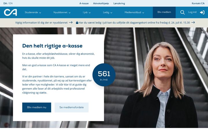 Screenshot of ca.dk