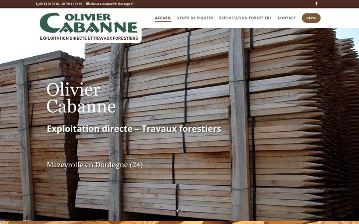Captură de ecran a cabanne-olivier.fr