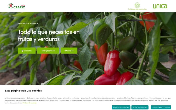 Screenshot of cabasc.com