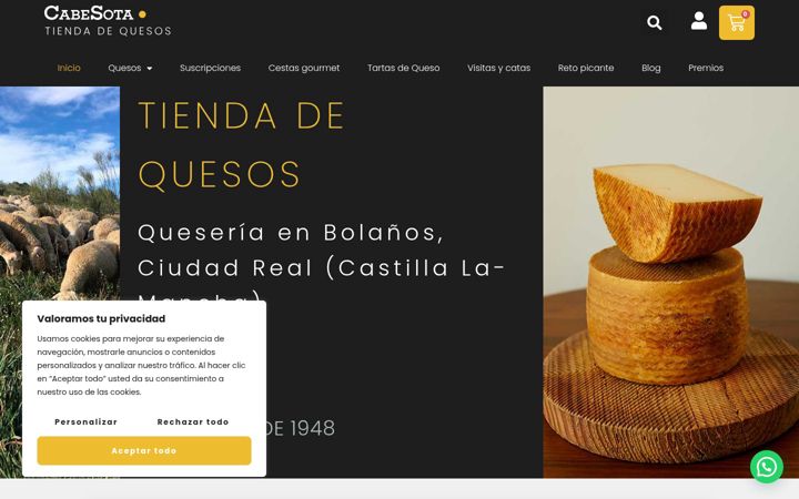 Screenshot of cabesota.com
