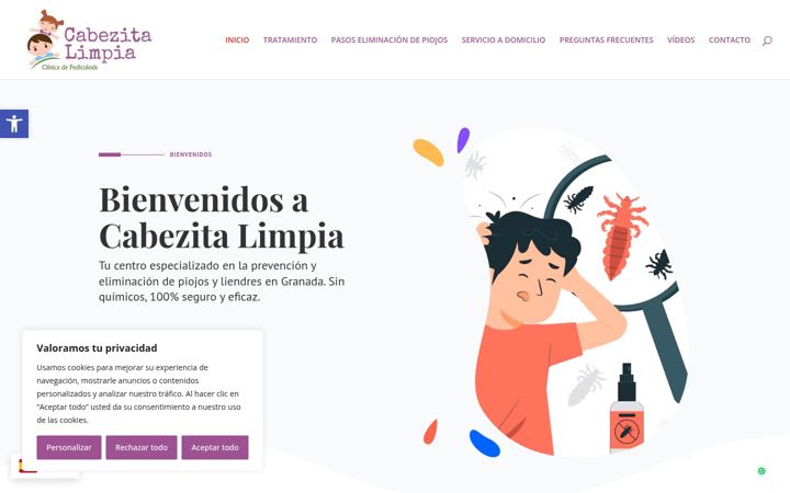 Capture d'écran de cabezitalimpia.com.es