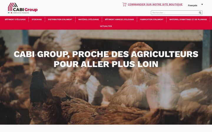Screenshot of cabi-group.com
