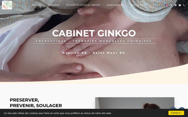 Screenshot of cabinetginkgo.fr