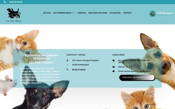 Screenshot of cabinetles1001pattes.fr