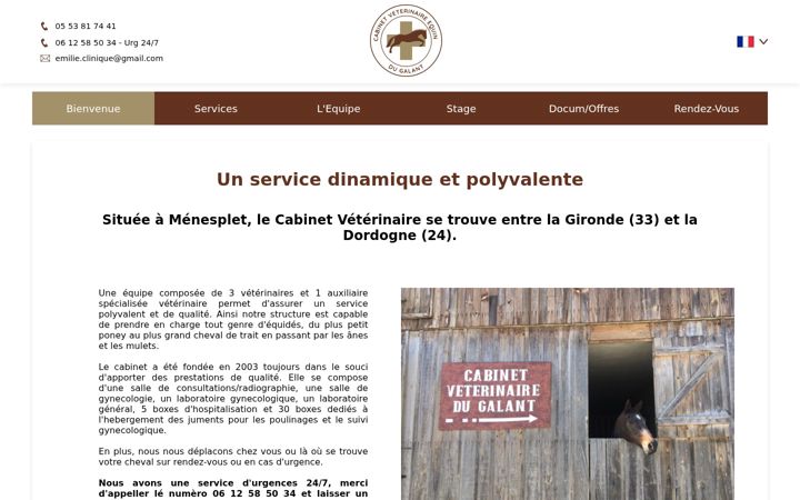 Screenshot of cabinetveterinaireequindugalant.fr