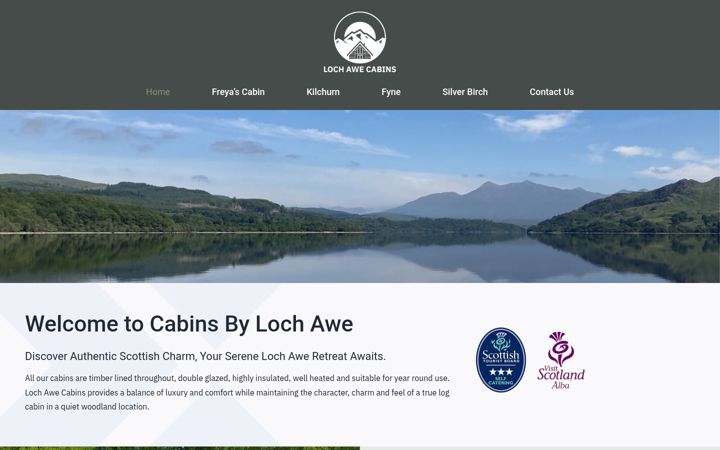 Screenshot of cabinsbylochawe.co.uk