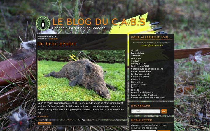 Screenshot of cabs41.com