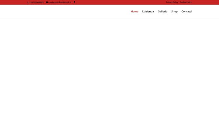 Screenshot of cacciatoreinfissi.it