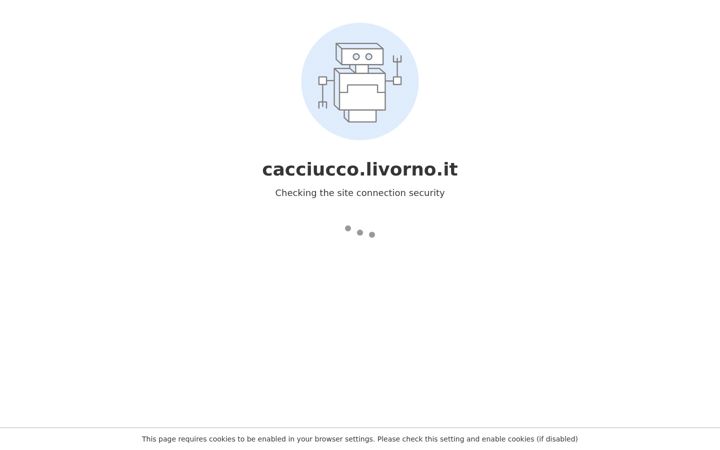 Screenshot of cacciucco.livorno.it