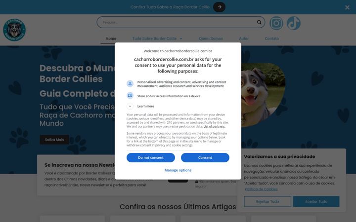Screenshot van cachorrobordercollie.com.br