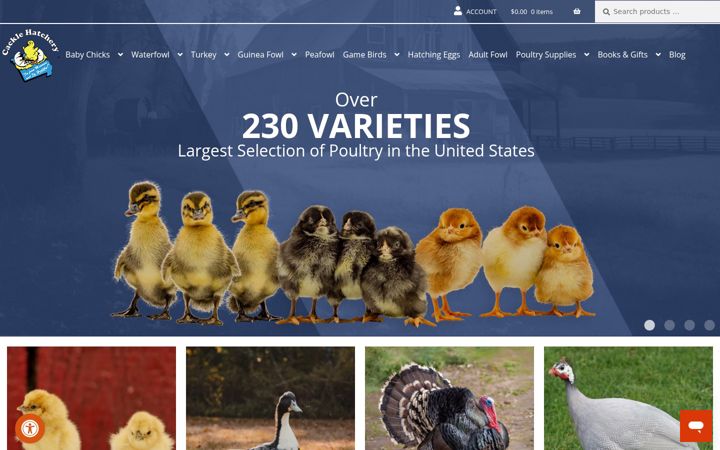 Screenshot of cacklehatchery.com