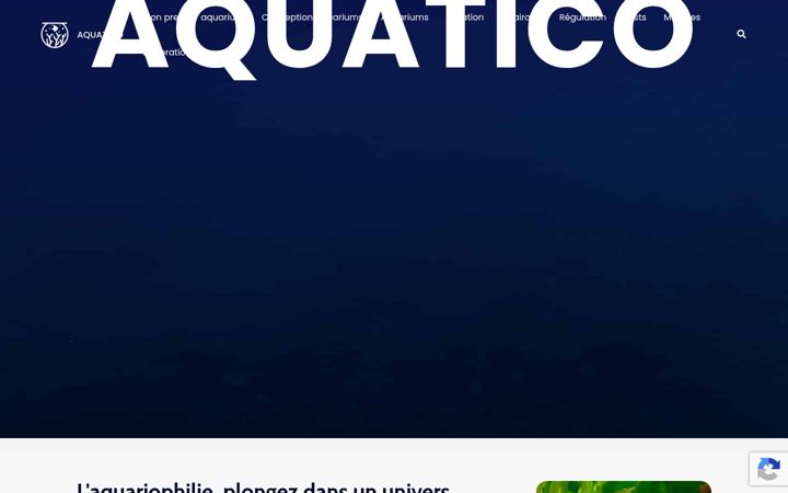Screenshot of caclb.com