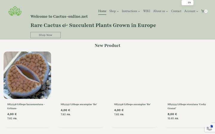 Screenshot of cactus-online.net