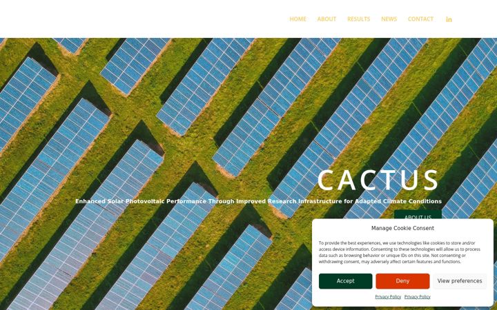 Skjámynd af cactus-pv.eu