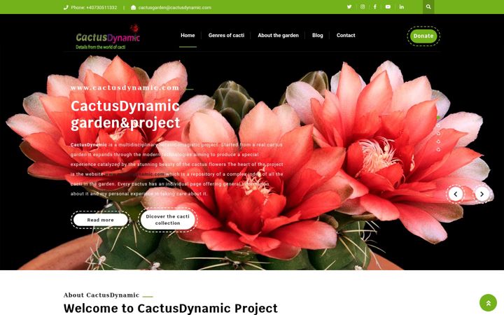 Screenshot of cactusdynamic.com