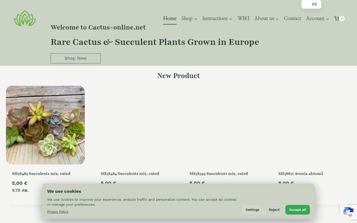 Screenshot of cactusellis.com