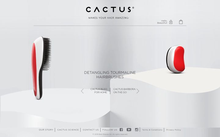 Screenshot of cactushairbrush.com