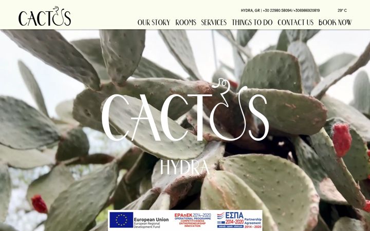Screenshot of cactushydra.com