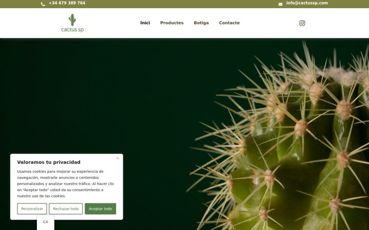 Screenshot von cactussp.es