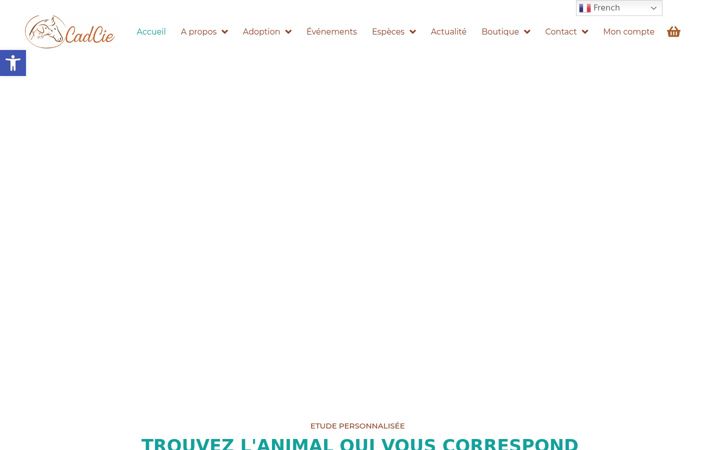 Screenshot of cadcie.lu