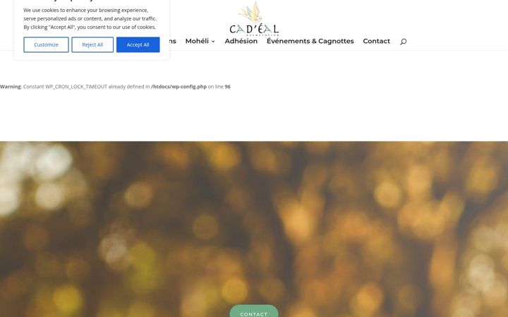 Screenshot of cadeal-association.com