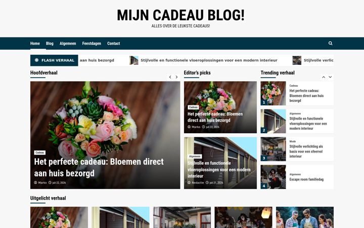 Screenshot of cadeautjes-geschenken.nl