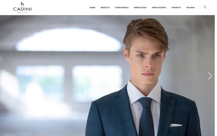 Screenshot of cadini.com