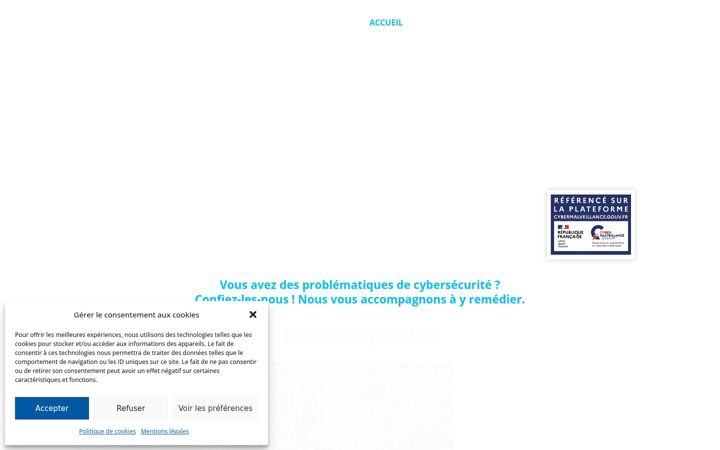 Screenshot of caeirus.com