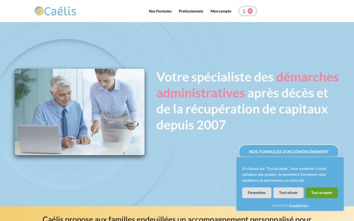 Screenshot of caelis-france.com