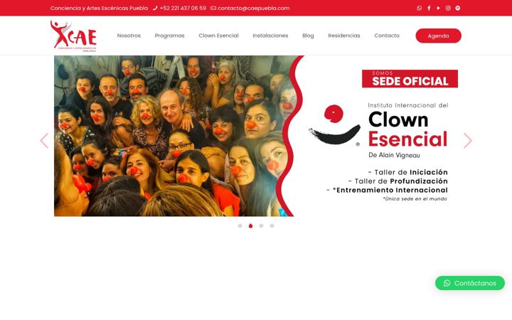Screenshot of caepuebla.com