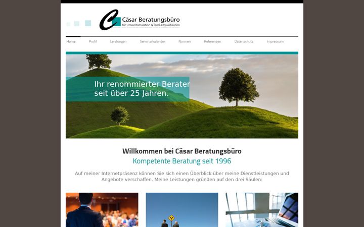 Screenshot of caesar-beratungsbuero.de