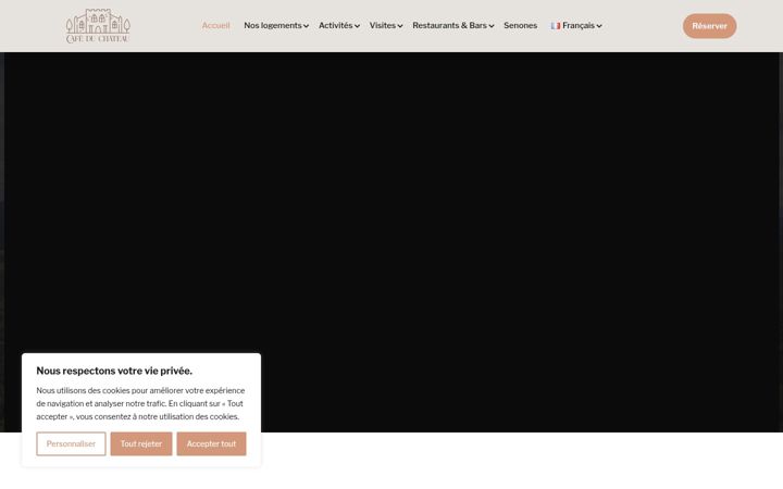 Screenshot of cafeduchateausenones.fr